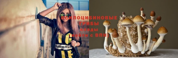 индика Белоозёрский