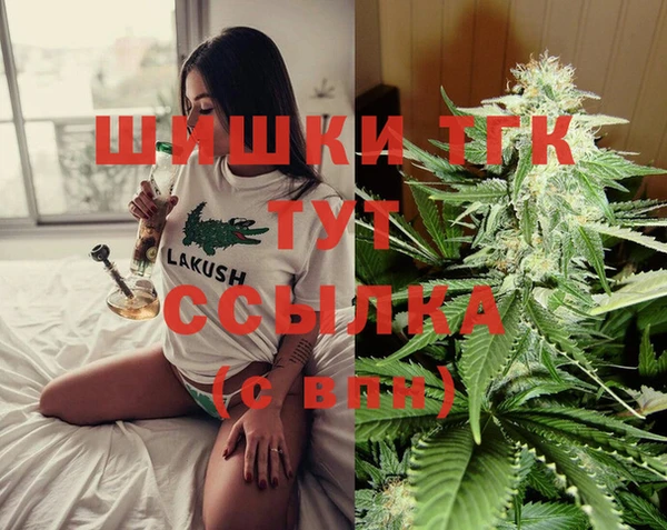 индика Белоозёрский