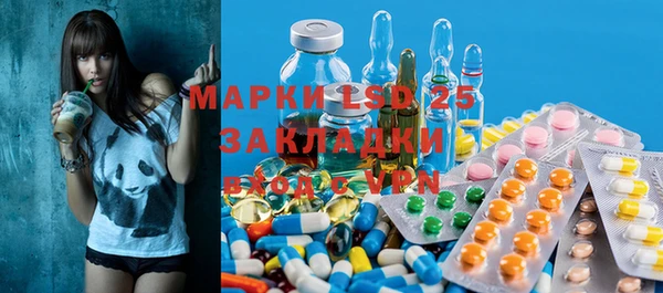 индика Белоозёрский