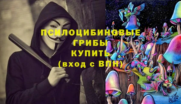 индика Белоозёрский