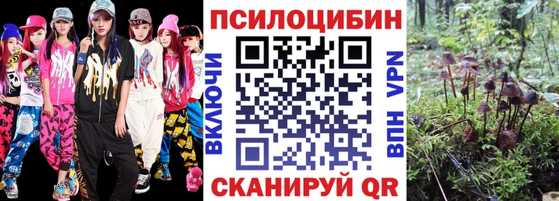 Псилоцибиновые грибы мицелий  blacksprut ТОР  Нижний Тагил 