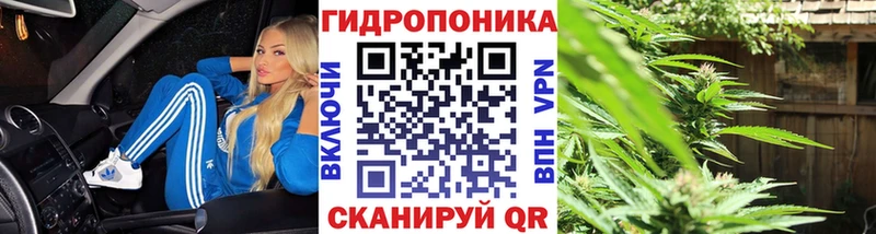 кракен ССЫЛКА  купить наркотик  Нижний Тагил  Каннабис THC 21% 